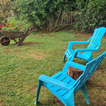 Hilltop Farm Valley View Cottage Henburg Park Bagian luar foto