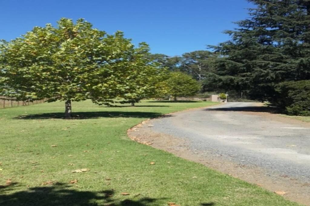 Hilltop Farm Valley View Cottage Henburg Park Bagian luar foto